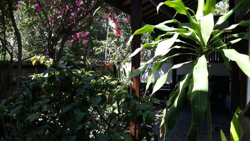 Dili Gili Bed & Breakfast กีลีตราวางัน ภายนอก รูปภาพ