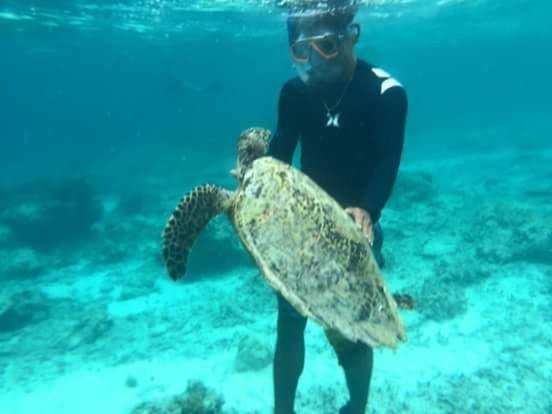 Dili Gili Bed & Breakfast กีลีตราวางัน ภายนอก รูปภาพ